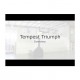 First Team Tempest Triumph Portable Basketball Hoop Promotions